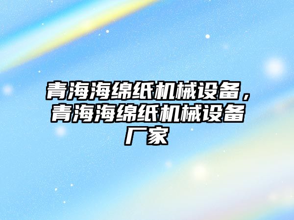 青海海綿紙機械設備，青海海綿紙機械設備廠家