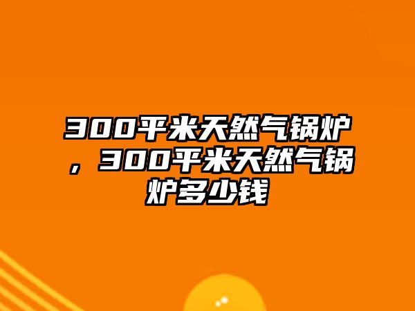 300平米天然氣鍋爐，300平米天然氣鍋爐多少錢