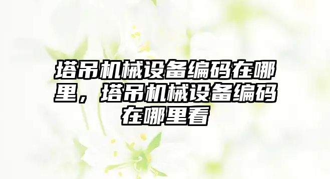 塔吊機械設備編碼在哪里，塔吊機械設備編碼在哪里看