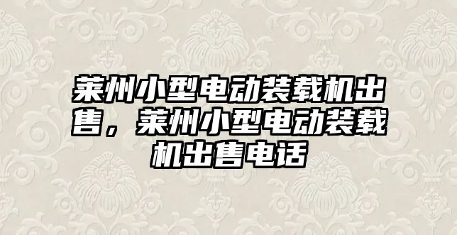 萊州小型電動裝載機出售，萊州小型電動裝載機出售電話