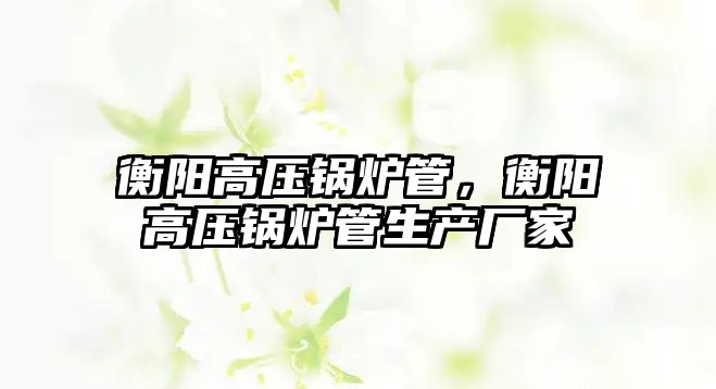 衡陽高壓鍋爐管，衡陽高壓鍋爐管生產廠家