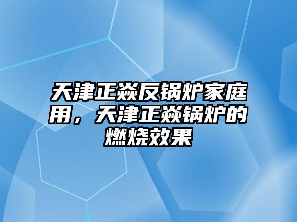 天津正焱反鍋爐家庭用，天津正焱鍋爐的燃燒效果