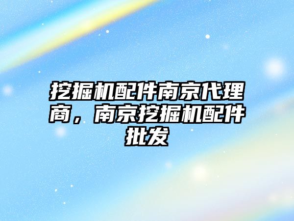 挖掘機配件南京代理商，南京挖掘機配件批發