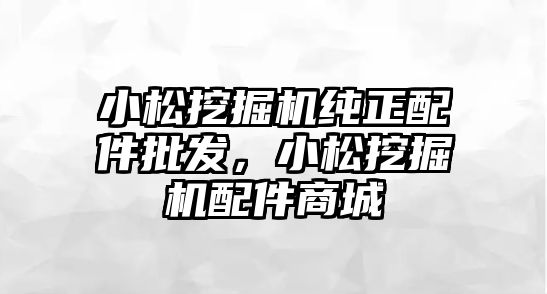 小松挖掘機純正配件批發(fā)，小松挖掘機配件商城