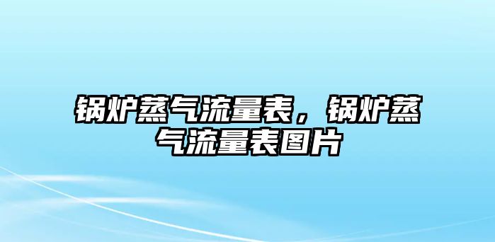 鍋爐蒸氣流量表，鍋爐蒸氣流量表圖片