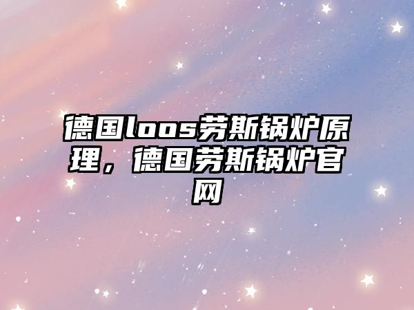 德國loos勞斯鍋爐原理，德國勞斯鍋爐官網