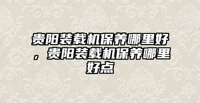 貴陽裝載機保養(yǎng)哪里好，貴陽裝載機保養(yǎng)哪里好點