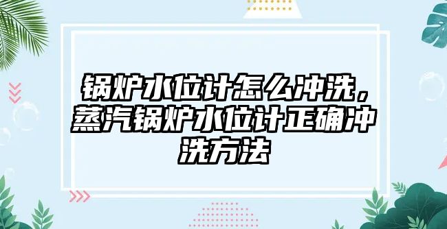 鍋爐水位計怎么沖洗，蒸汽鍋爐水位計正確沖洗方法