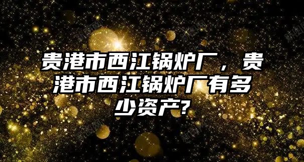 貴港市西江鍋爐廠(chǎng)，貴港市西江鍋爐廠(chǎng)有多少資產(chǎn)?