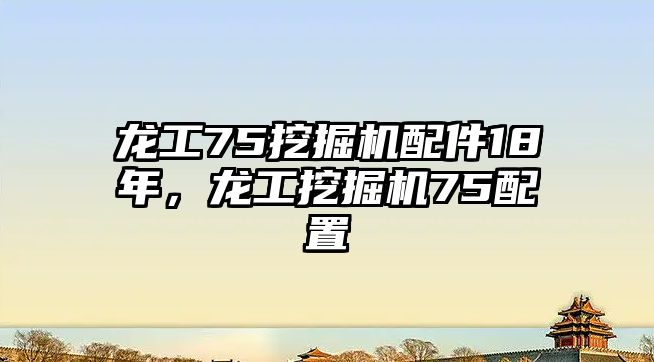 龍工75挖掘機配件18年，龍工挖掘機75配置