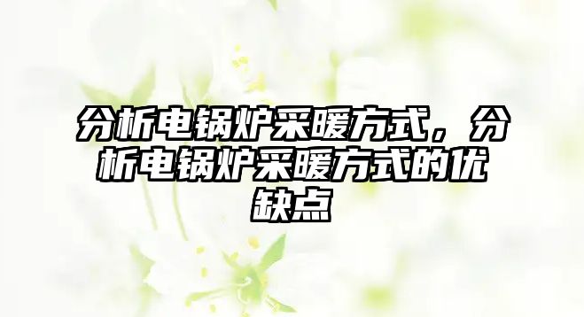 分析電鍋爐采暖方式，分析電鍋爐采暖方式的優(yōu)缺點