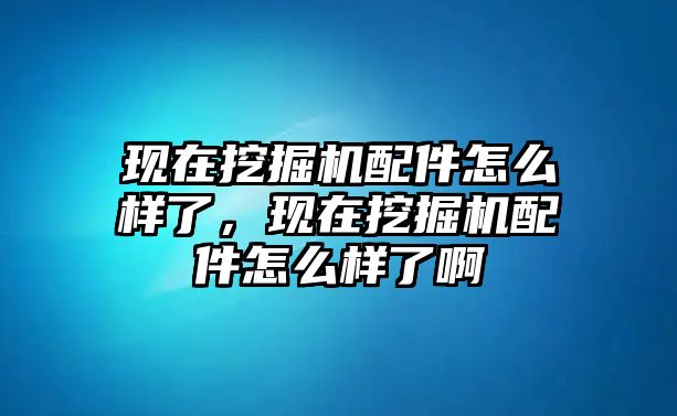 現(xiàn)在挖掘機(jī)配件怎么樣了，現(xiàn)在挖掘機(jī)配件怎么樣了啊