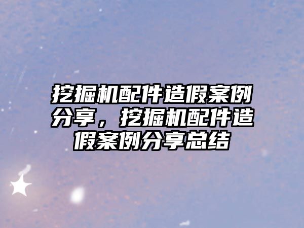 挖掘機配件造假案例分享，挖掘機配件造假案例分享總結