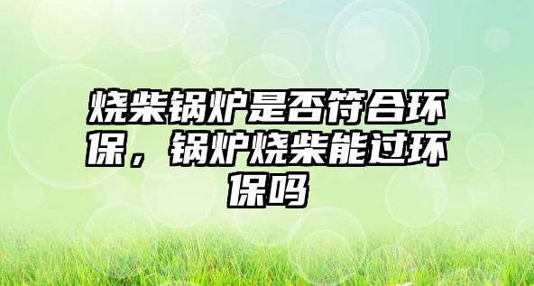 燒柴鍋爐是否符合環保，鍋爐燒柴能過環保嗎