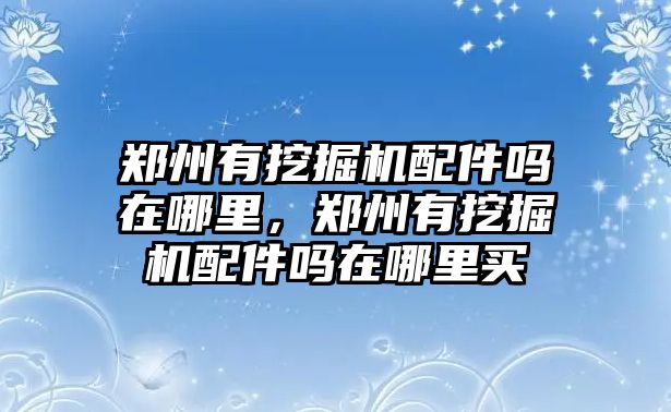 鄭州有挖掘機配件嗎在哪里，鄭州有挖掘機配件嗎在哪里買