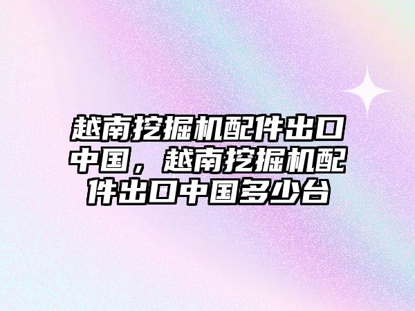 越南挖掘機配件出口中國，越南挖掘機配件出口中國多少臺