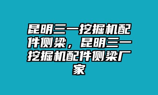 昆明三一挖掘機配件側(cè)梁，昆明三一挖掘機配件側(cè)梁廠家