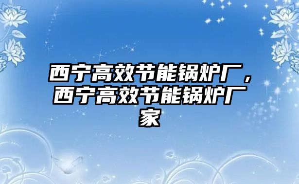 西寧高效節能鍋爐廠，西寧高效節能鍋爐廠家