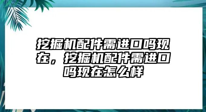 挖掘機配件需進口嗎現在，挖掘機配件需進口嗎現在怎么樣