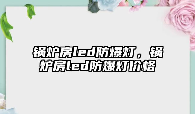 鍋爐房led防爆燈，鍋爐房led防爆燈價格