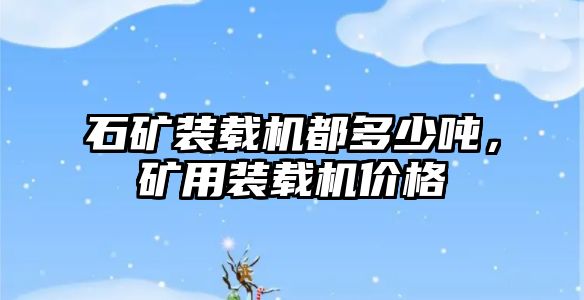 石礦裝載機都多少噸，礦用裝載機價格