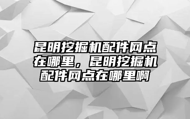 昆明挖掘機配件網點在哪里，昆明挖掘機配件網點在哪里啊