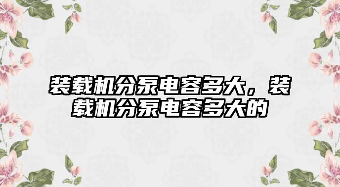 裝載機分泵電容多大，裝載機分泵電容多大的