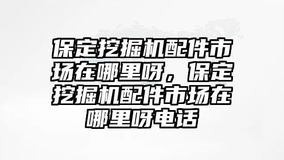 保定挖掘機(jī)配件市場(chǎng)在哪里呀，保定挖掘機(jī)配件市場(chǎng)在哪里呀電話