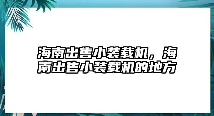 海南出售小裝載機(jī)，海南出售小裝載機(jī)的地方