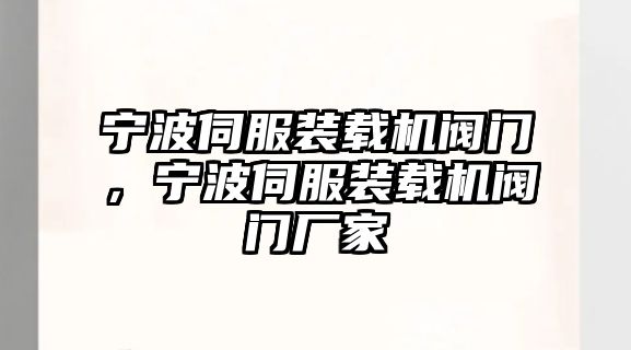 寧波伺服裝載機閥門，寧波伺服裝載機閥門廠家