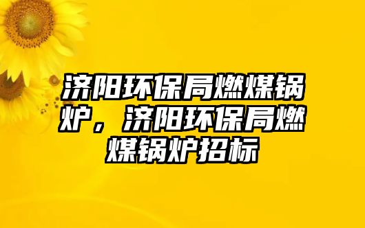 濟(jì)陽環(huán)保局燃煤鍋爐，濟(jì)陽環(huán)保局燃煤鍋爐招標(biāo)