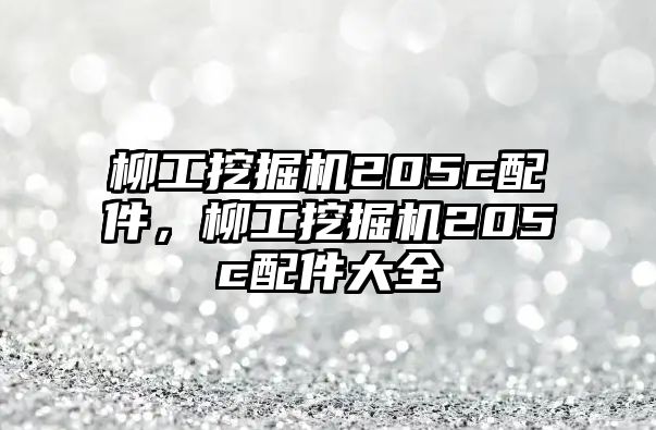 柳工挖掘機205c配件，柳工挖掘機205c配件大全