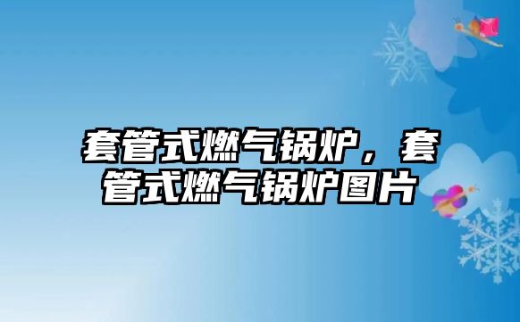 套管式燃氣鍋爐，套管式燃氣鍋爐圖片