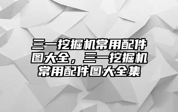 三一挖掘機常用配件圖大全，三一挖掘機常用配件圖大全集