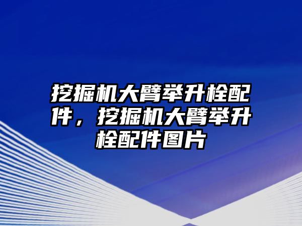 挖掘機大臂舉升栓配件，挖掘機大臂舉升栓配件圖片