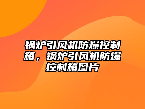 鍋爐引風(fēng)機(jī)防爆控制箱，鍋爐引風(fēng)機(jī)防爆控制箱圖片