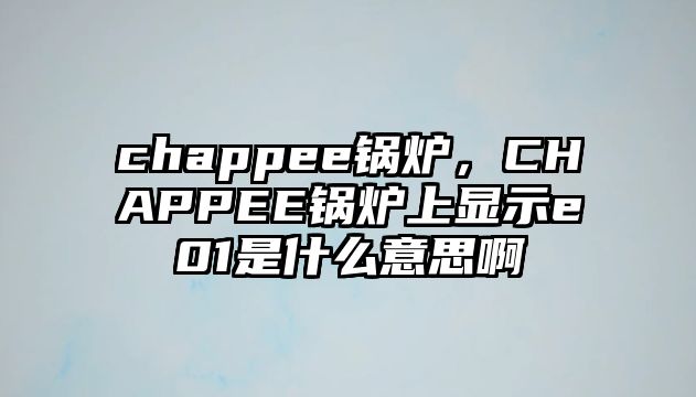 chappee鍋爐，CHAPPEE鍋爐上顯示e01是什么意思啊