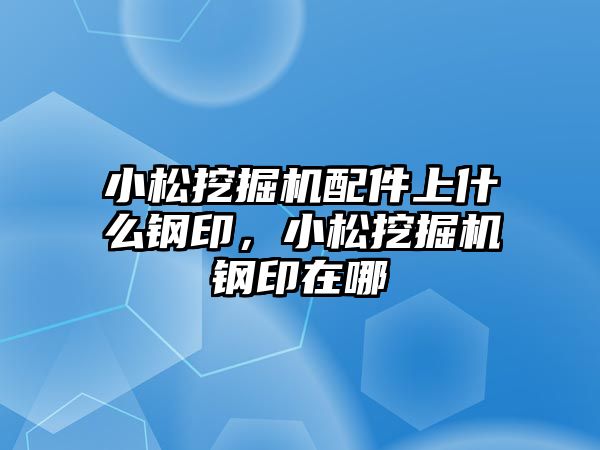 小松挖掘機配件上什么鋼印，小松挖掘機鋼印在哪