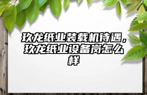 玖龍紙業裝載機待遇，玖龍紙業設備崗怎么樣