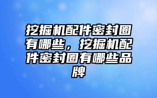 挖掘機配件密封圈有哪些，挖掘機配件密封圈有哪些品牌