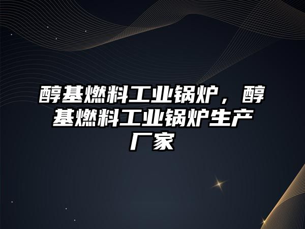 醇基燃料工業鍋爐，醇基燃料工業鍋爐生產廠家