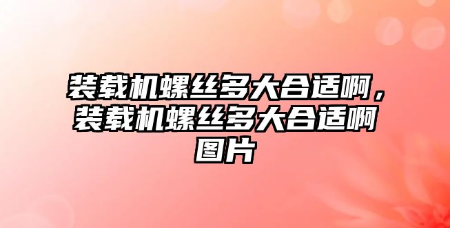 裝載機螺絲多大合適啊，裝載機螺絲多大合適啊圖片