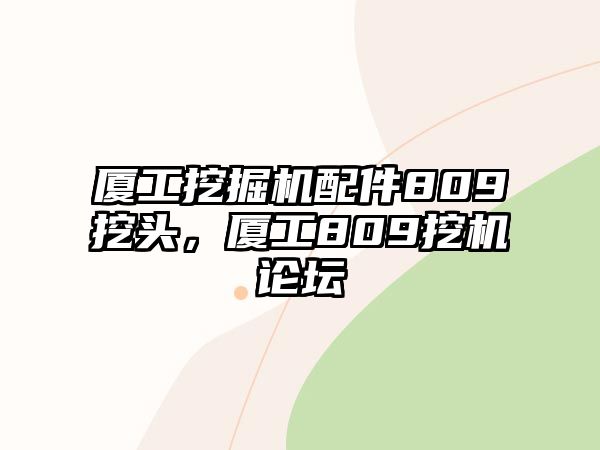 廈工挖掘機配件809挖頭，廈工809挖機論壇