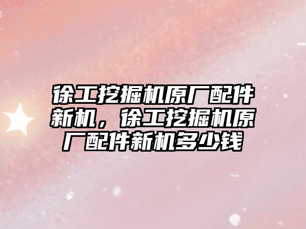 徐工挖掘機原廠配件新機，徐工挖掘機原廠配件新機多少錢