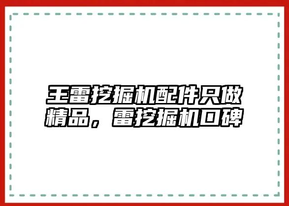 王雷挖掘機配件只做精品，雷挖掘機口碑