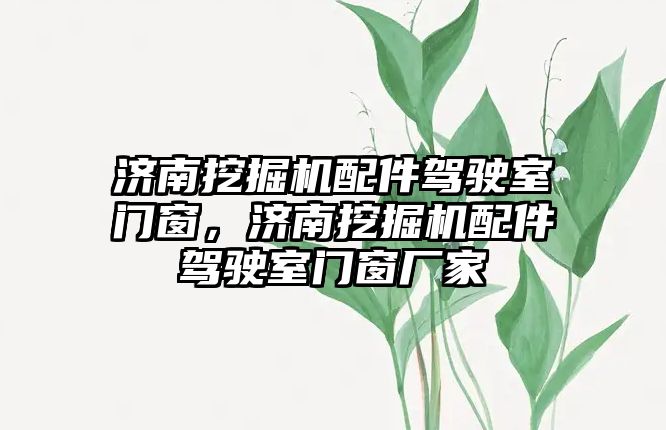 濟南挖掘機配件駕駛室門窗，濟南挖掘機配件駕駛室門窗廠家