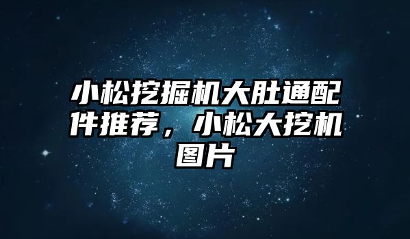 小松挖掘機大肚通配件推薦，小松大挖機圖片