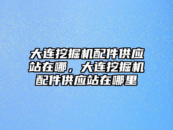 大連挖掘機配件供應站在哪，大連挖掘機配件供應站在哪里