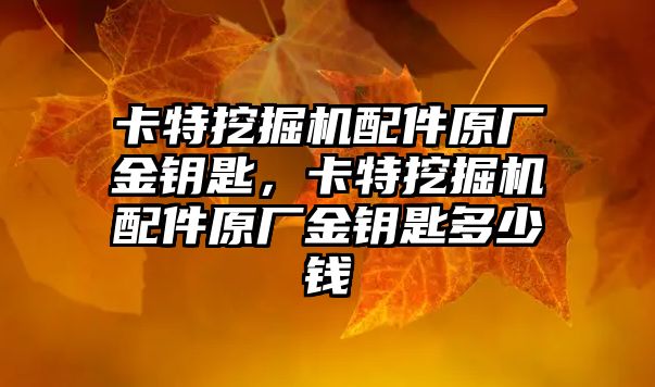 卡特挖掘機配件原廠金鑰匙，卡特挖掘機配件原廠金鑰匙多少錢