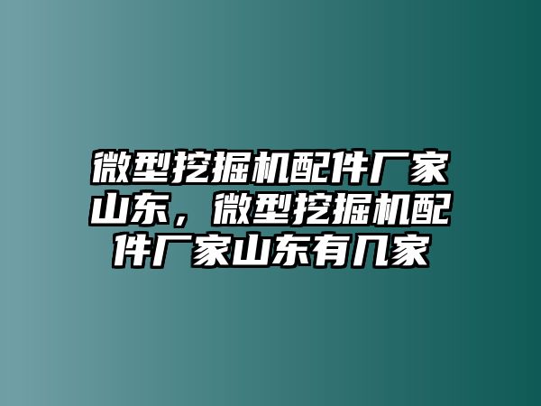 微型挖掘機配件廠家山東，微型挖掘機配件廠家山東有幾家